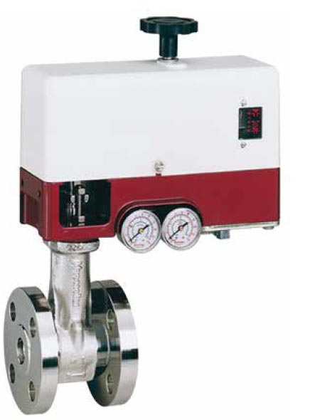 Masoneilan™ 28000 Series Varipak™ Control Valves